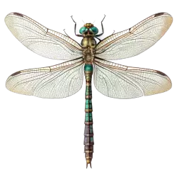 Imagen PNG para descargar